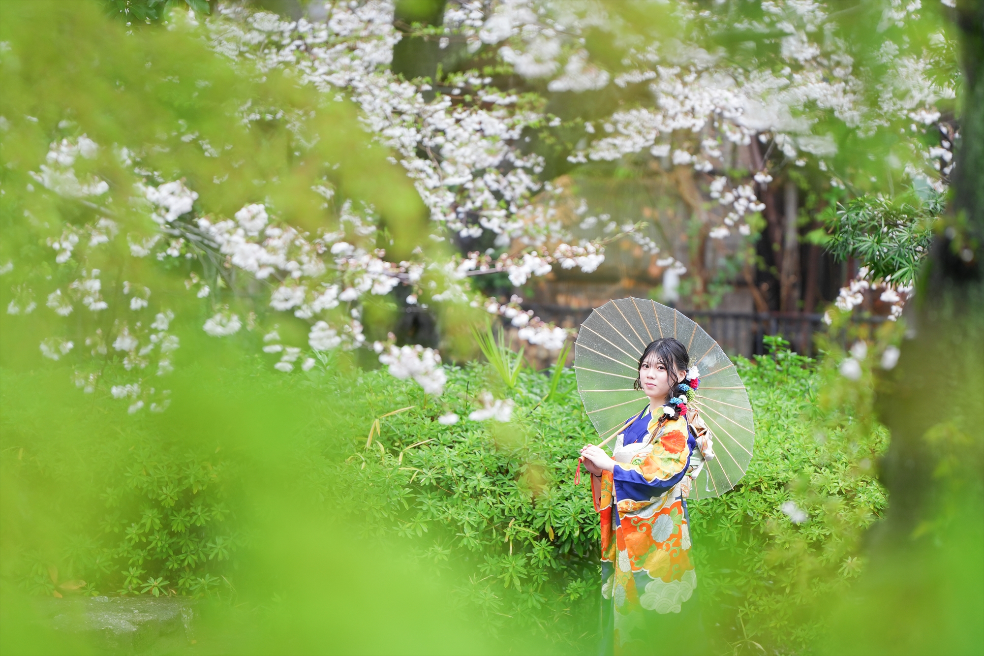 成人式撮影プラン